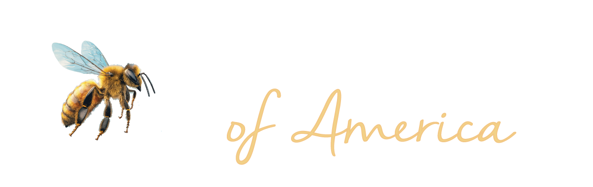 Tom Sawyer of America